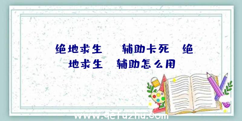 「绝地求生sng辅助卡死」|绝地求生aa辅助怎么用